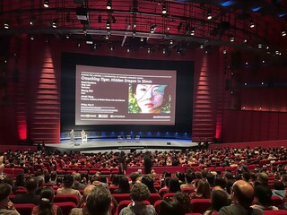 李安憶拍臥虎藏龍初衷 追尋想像中不存在的中國