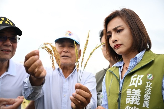 高雄稻穗空包損收成 邱議瑩會勘要求農保理賠從速 | 華視新聞