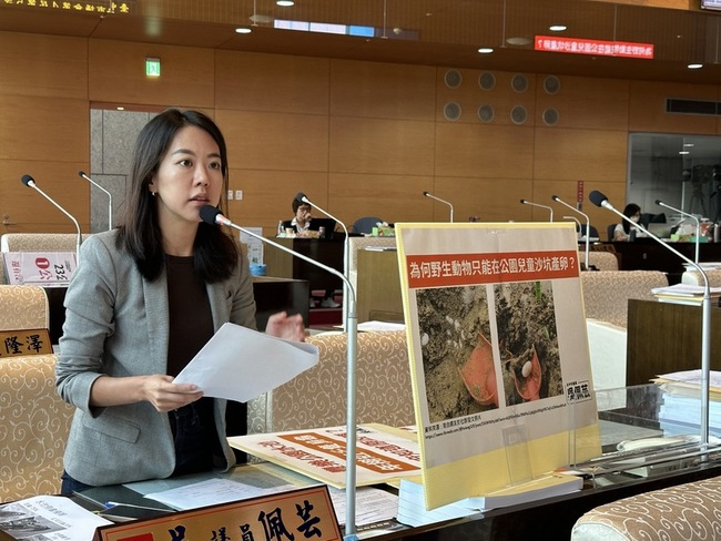 小朋友公園玩沙挖出龜蛋 中市府將建友善產房 | 華視新聞