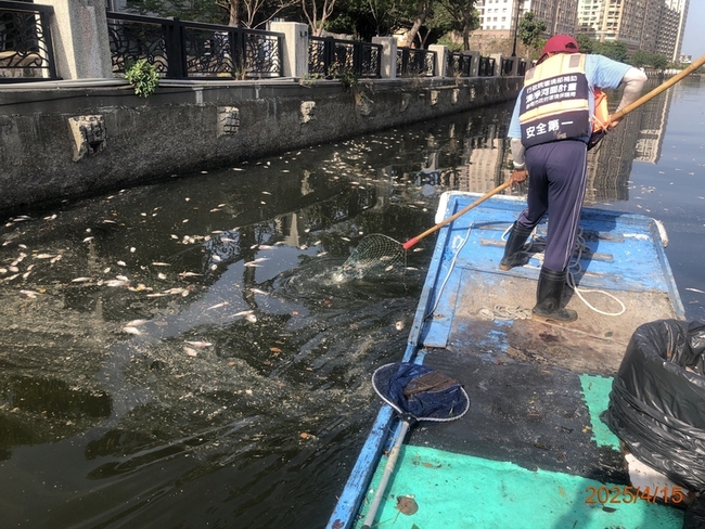春夏溫差變化水中溶氧下降 台南運河已清10噸死魚 | 華視新聞