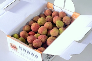 玉荷包產季來臨 「高雄首選」禮盒即日起開賣