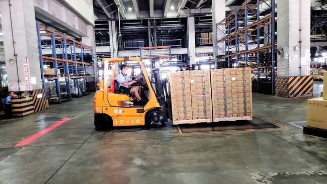 日本富良野市採購台南金鑽鳳梨 3公噸一早空運嘗鮮 | 華視新聞