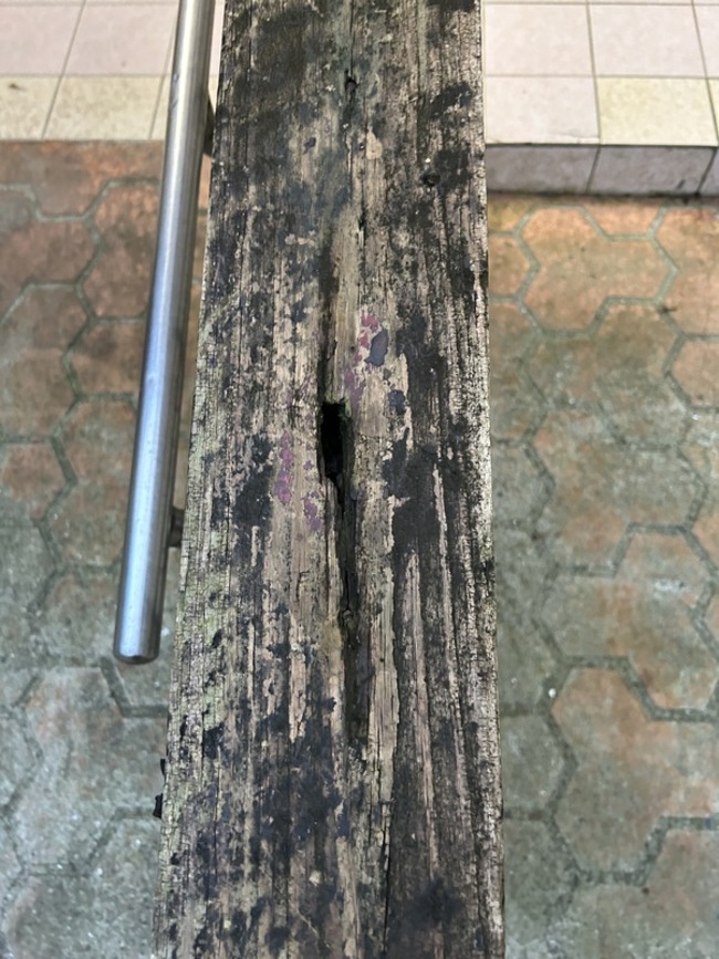 萬芳四號公園設施多處損壞  北市：盡快改善 | 華視新聞