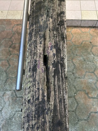 萬芳四號公園設施多處損壞  北市：盡快改善