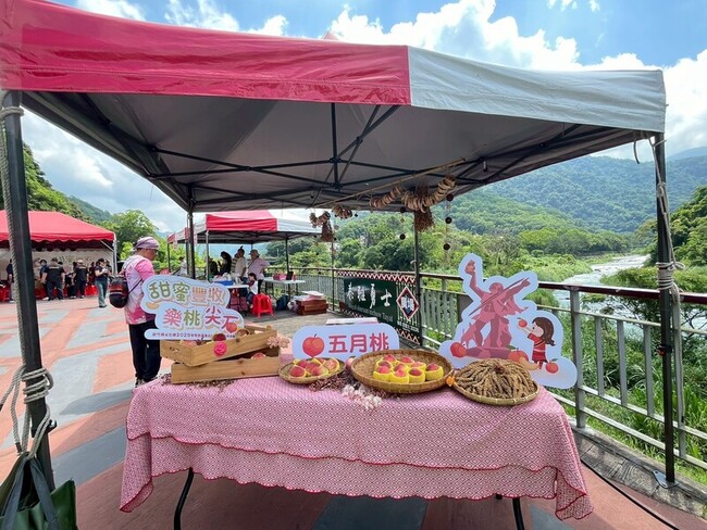 竹縣尖石五月桃迎豐收 17日晚會推廣原民產業 | 華視新聞