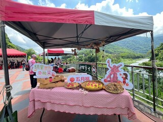 竹縣尖石五月桃迎豐收 17日晚會推廣原民產業
