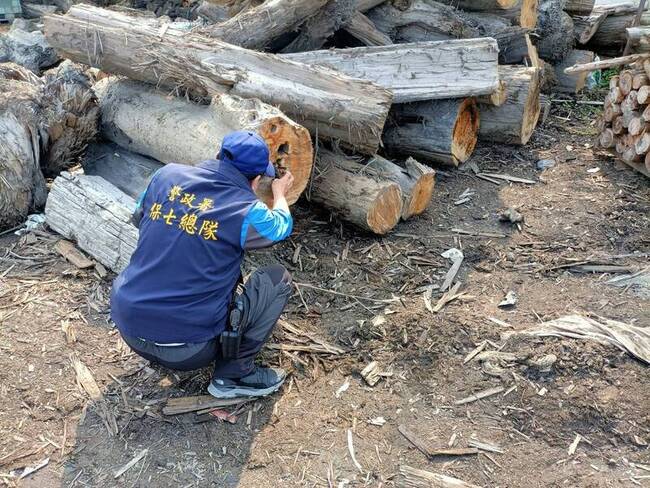中部山老鼠集團7人落網 檢警扣逾6萬公斤贓木 | 華視新聞