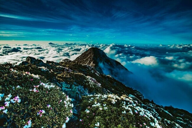 成大團隊研究  「山區生物滅絕電梯」還未發生 | 華視新聞