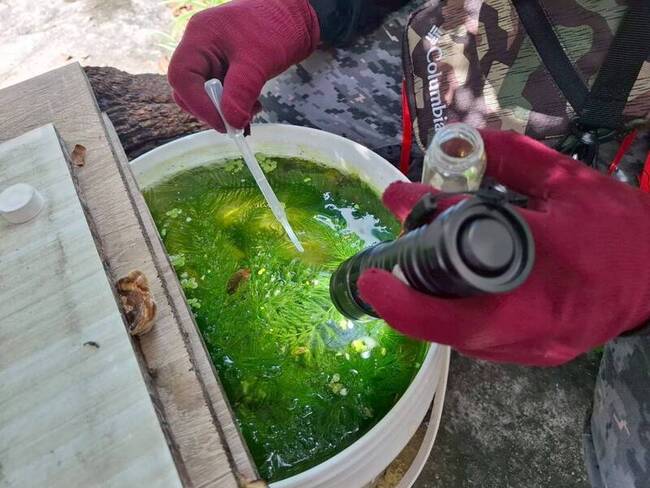 台南第3例登革熱境外移入 個案國外旅遊發病 | 華視新聞