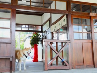 林鐵鹿麻產車站完工 「波吉」擔任實習站長