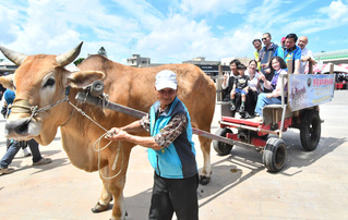 彰化辦海牛文化節  永續無形資產、力推在地美景