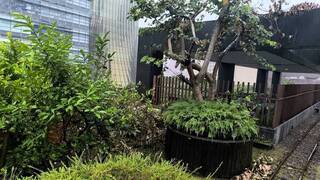 男子陳屍北市百貨公司戶外區 初判因病猝逝