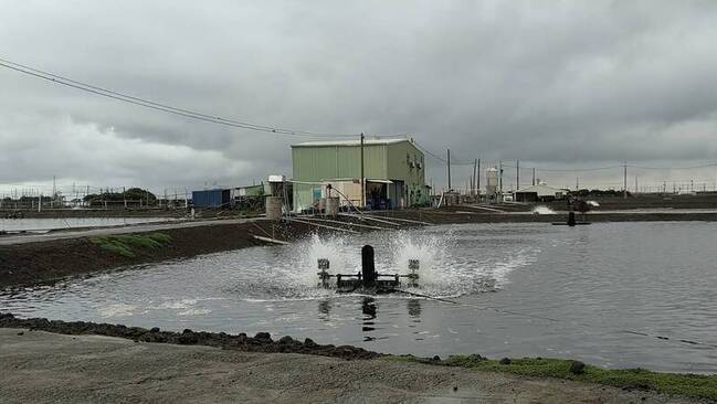 汛期來臨 高市動保處籲水產養殖戶做好防範 | 華視新聞