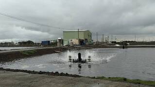 汛期來臨 高市動保處籲水產養殖戶做好防範