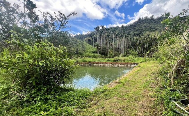 嘉義童隨爺爺訪友跌落魚池不治 檢警相驗為溺斃 | 華視新聞