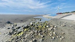 台中大安濱海樂園暗藏鐵釘 遊客踩傷市府令清除