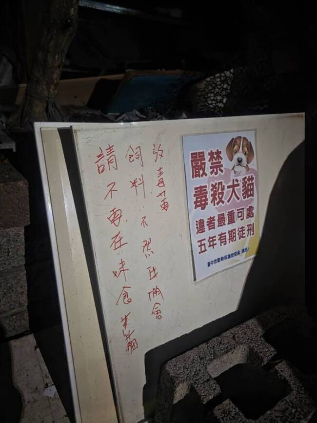 台中大里流浪貓疑遭毒殺 中市府查扣證物追查 | 華視新聞