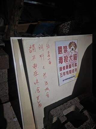 台中大里流浪貓疑遭毒殺 中市府查扣證物追查