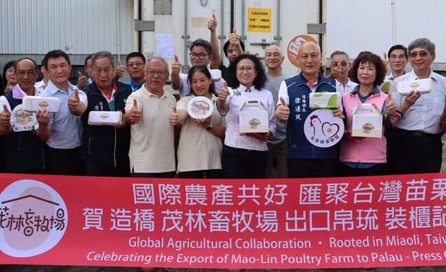 台灣動物福利蛋出口 外銷帛琉首批8萬顆裝櫃 | 華視新聞