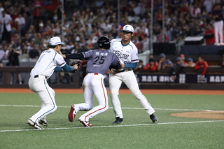 張政禹妨礙跑壘規則放腦中  笑稱找人「買犯」