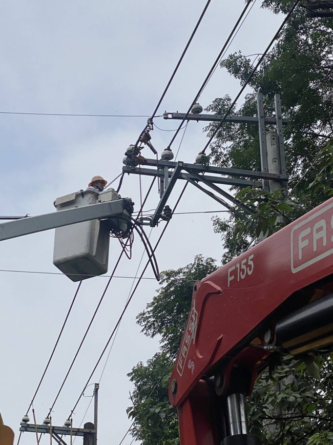 大雨致樹木觸電線釀停電 彰化二水371戶已搶修復電 | 華視新聞