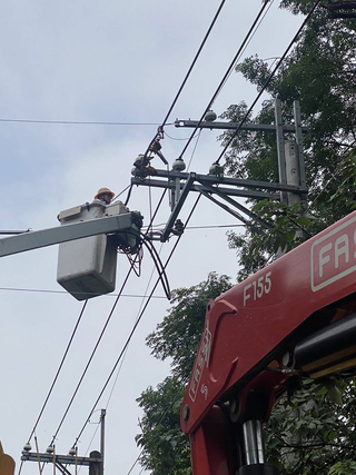 大雨致樹木觸電線釀停電 彰化二水371戶已搶修復電
