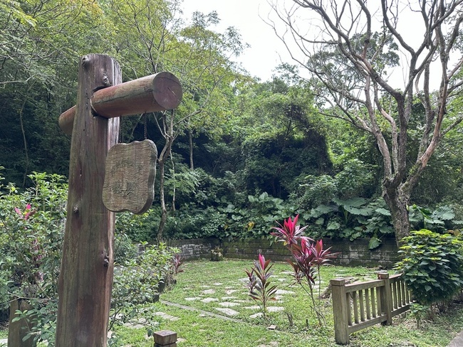 發現落單幼雛鳥別急著帶走 花蓮縣府：親鳥照顧更好 | 華視新聞
