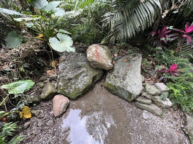 玉龍泉湧水 鹿野聖安宮取午時水停3年恢復擴大舉辦 | 華視新聞