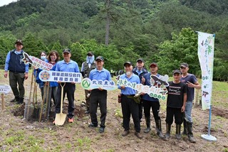 武陵農場植樹營造棲息環境  護瀕危台灣寬尾鳳蝶