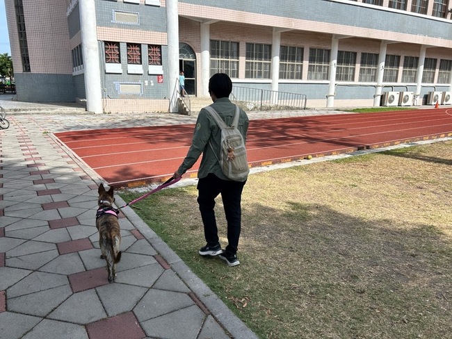 屏東動保自治條例上路 遛狗不繫繩最高罰1.5萬 | 華視新聞