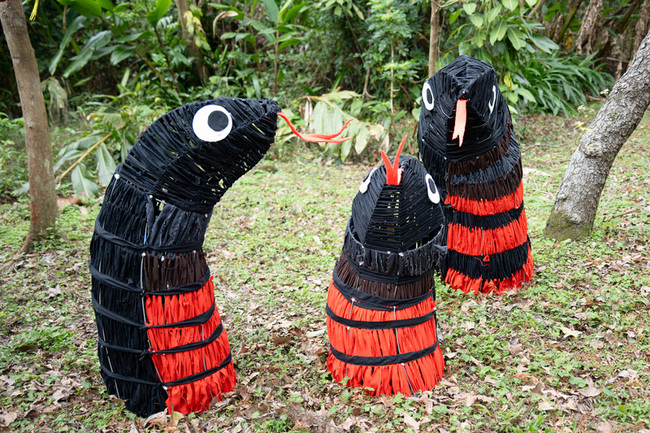 北市立動物園迎端午  29日起推話蛇、探秘及包粽 | 華視新聞
