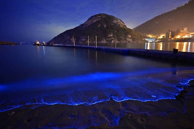 藍眼淚熱潮  連江縣端午節訂房率全台最高 | 華視新聞