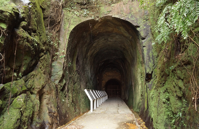 劉銘傳隧道估年底全面開放 總量管制保育葉鼻蝠 | 華視新聞