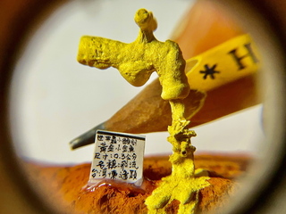 陳逢顯毫芒雕刻0.3cm黃金小金魚  融哲學令人驚豔