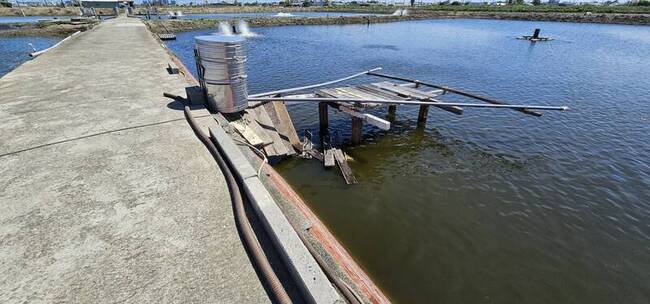 疑跌入自家魚塭 高雄茄萣男子送醫搶救不治 | 華視新聞