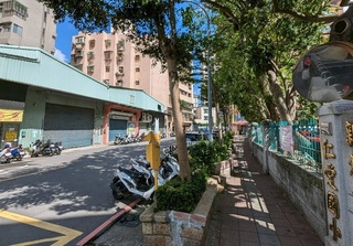 蘆洲仁愛國小旁26株路樹有公安疑慮  6/15後移除