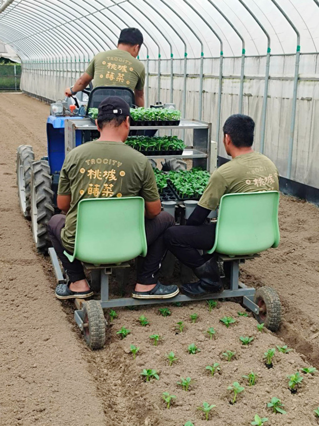 農業部推智慧種菜  助桃城蒔菜人力成本降產量增 | 華視新聞