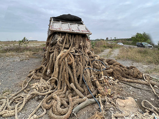 廢麻繩倒濁水溪形似深海閻王 主嫌判1年1月