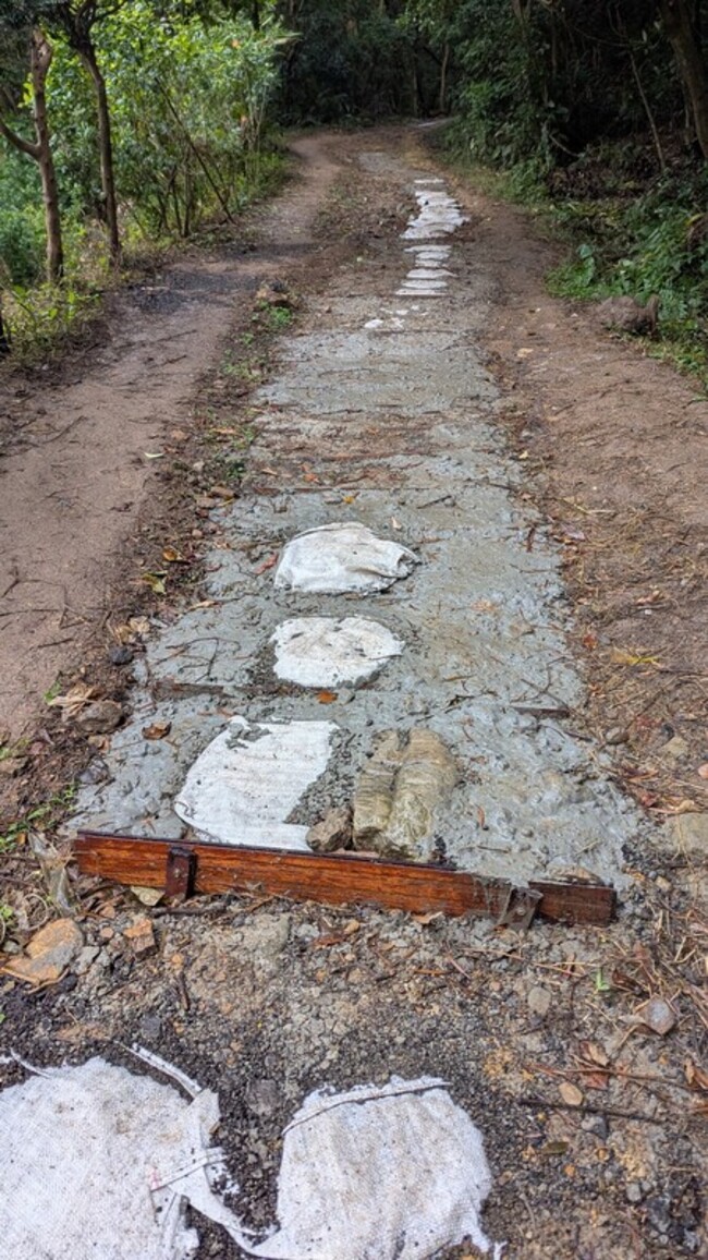 公民團體倡議水泥步道零成長 邀民眾監測回報 | 華視新聞