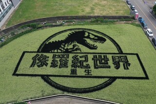 苑裡稻田變身大型電影看板 恐龍圖騰吸睛