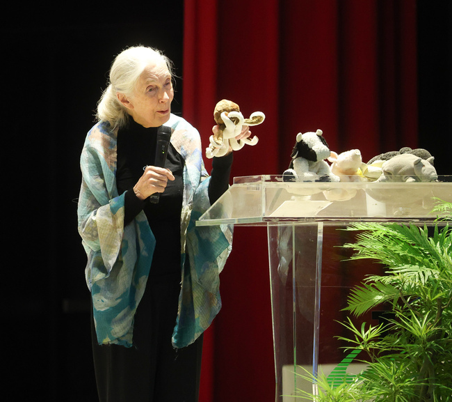 珍古德籲與大自然建立關係  保育環境對人有助益 | 華視新聞