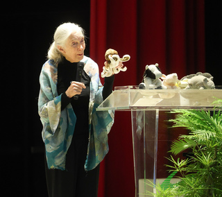 珍古德籲與大自然建立關係  保育環境對人有助益