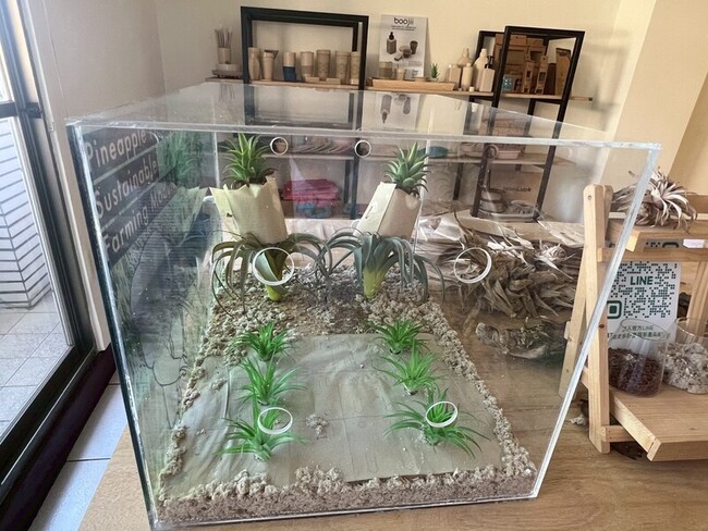 從搖籃到搖籃 均苑開啟農業循環經濟新機 | 華視新聞