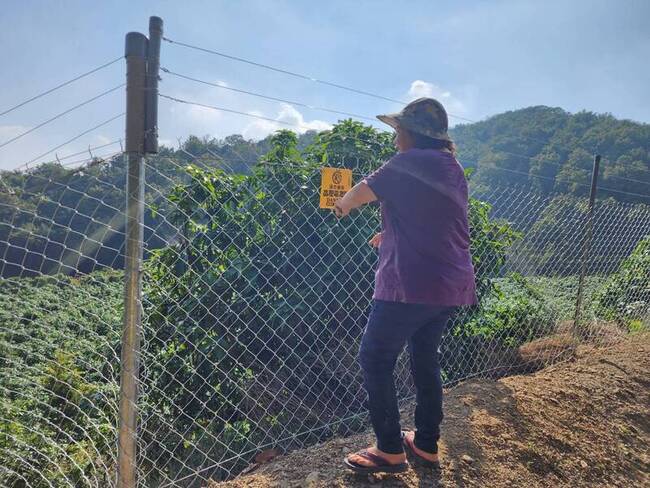 高市設電圍網防猴補助  申請期限至6月底 | 華視新聞