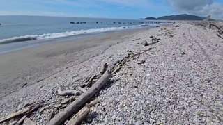 花蓮太平洋公園海邊女浮屍 警追查竟是被人推入海
