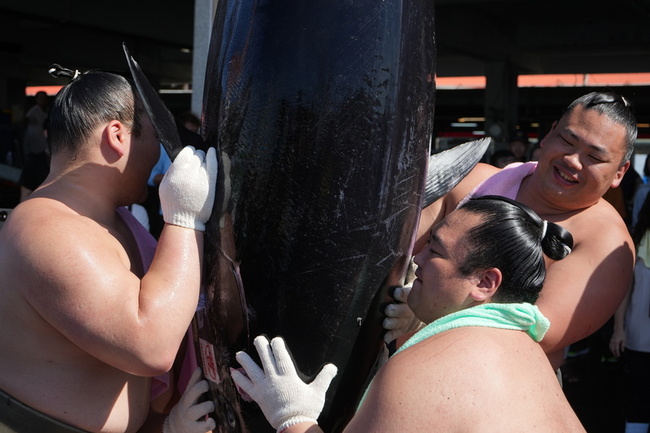 日本相撲力士遊東港魚市場 挑戰扛黑鮪、拖魚 | 華視新聞