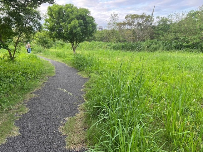 議員批公園雜草叢生如墓仔埔  竹市府：加強巡檢 | 華視新聞
