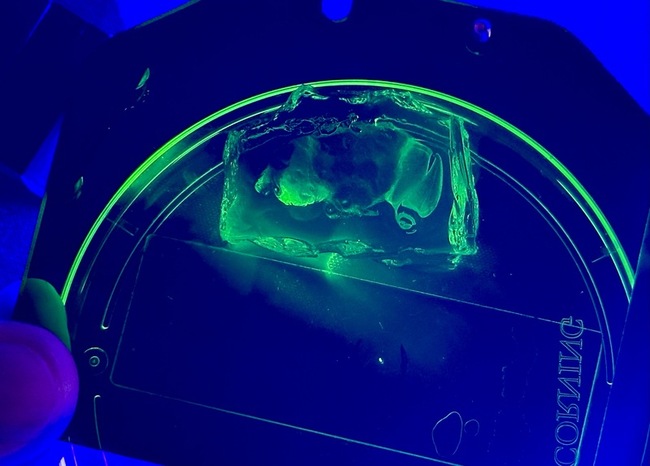 世界首創 台灣團隊開發新型腦放大技術登國際期刊 | 華視新聞