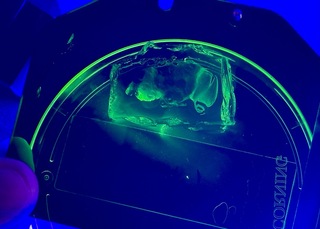 世界首創 台灣團隊開發新型腦放大技術登國際期刊