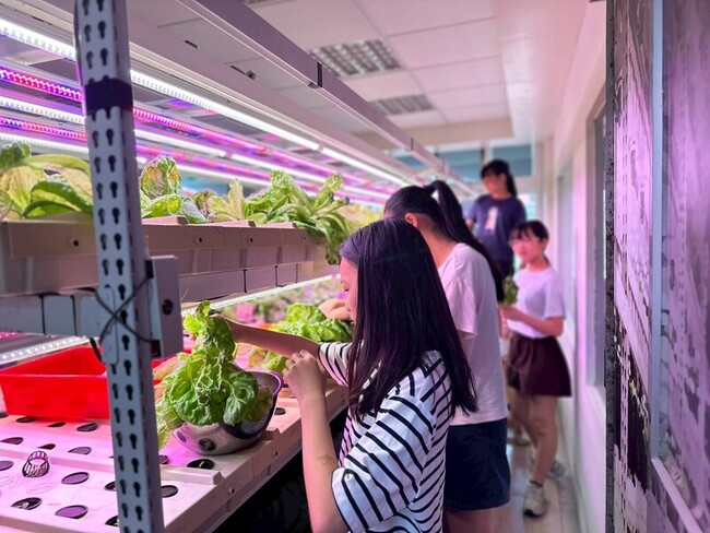 馬祖介壽國中小生種科技蔬菜  成果送暖安養中心 | 華視新聞